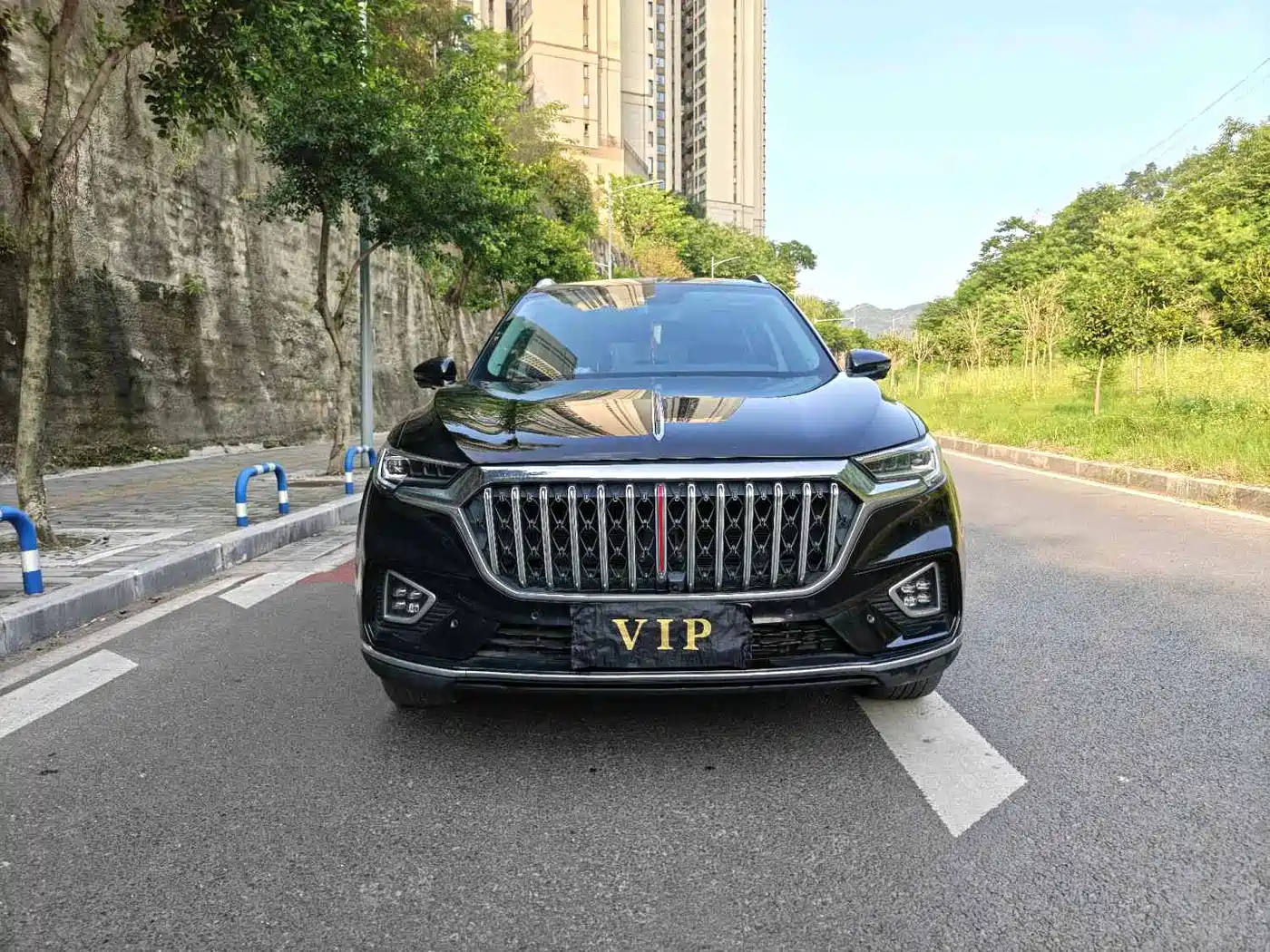 Hongqi HS5 2022 Facelift 2.0T Smart Flag Enjoyment Edition фото 2