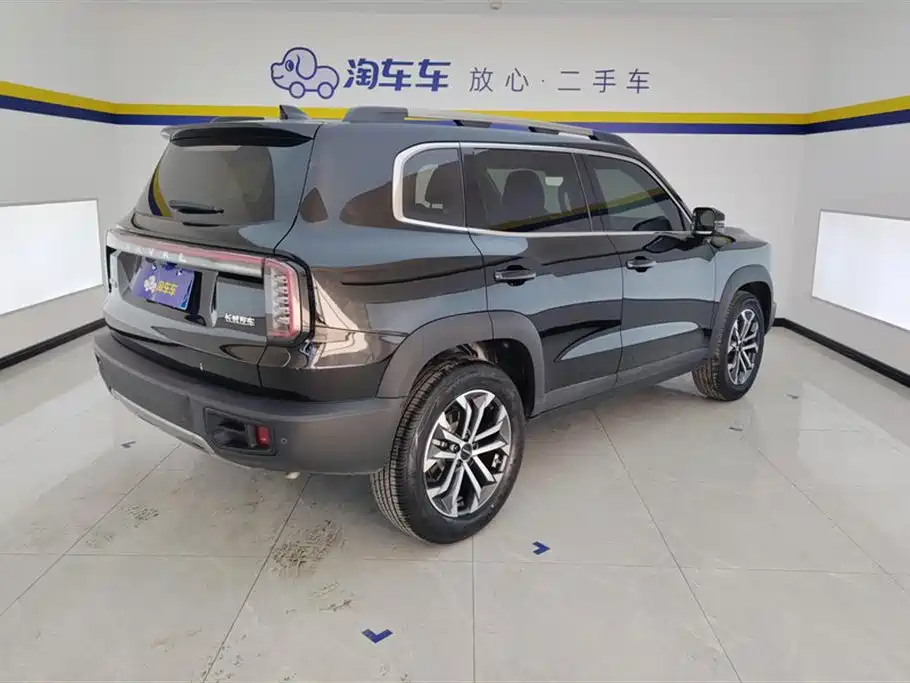 Haval Big Dog 2024 1.5T DCT Border Collie Edition фото 3