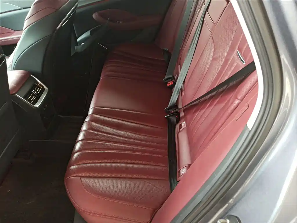 Hongqi H5 2023 2.0T Auto Smart Connect Flag Comfort фото 13