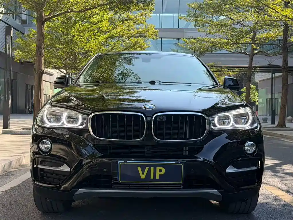 BMW X6 фото 8