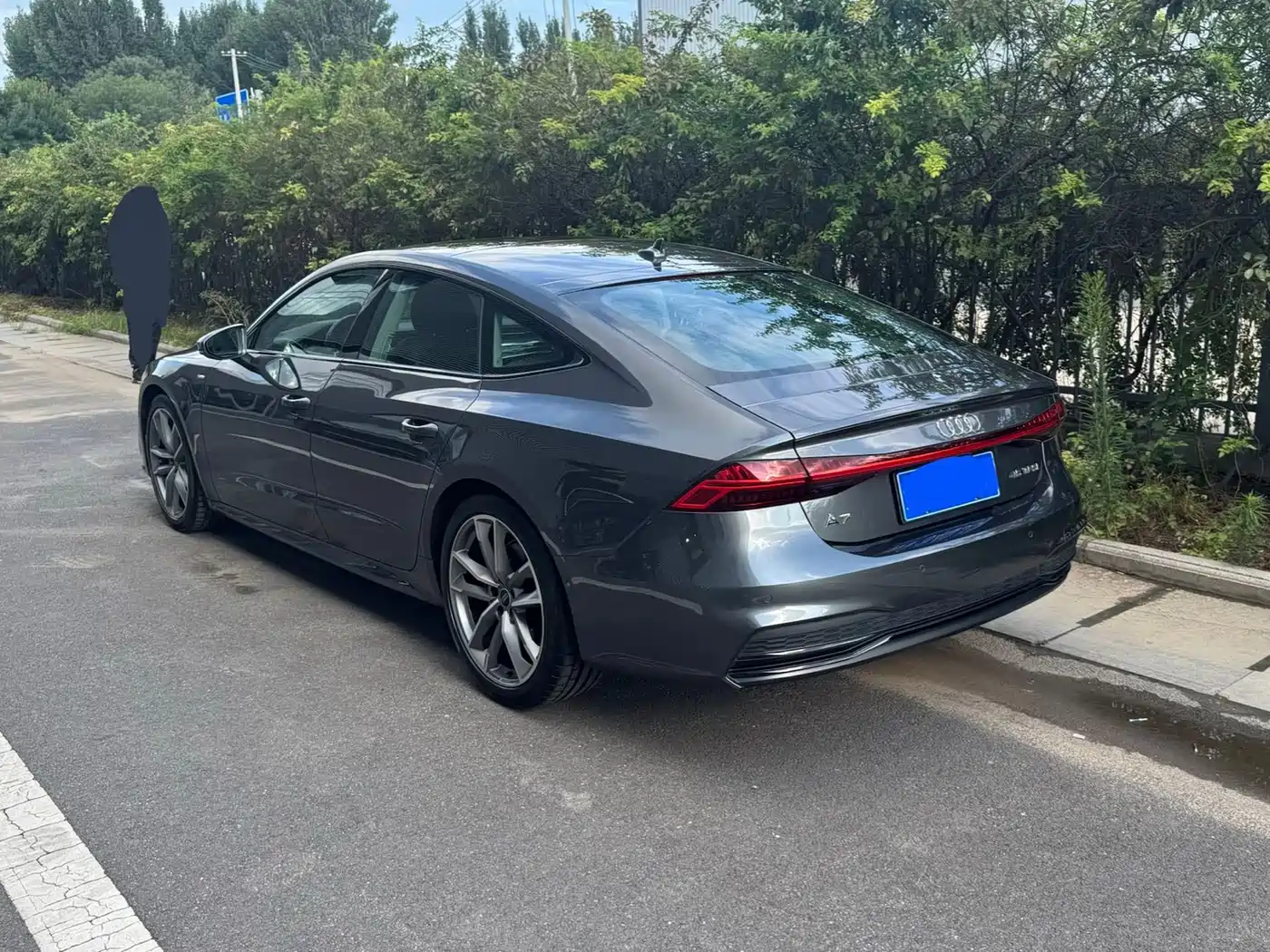 Audi A7 2025 2024 45 TFSI Premium Selection