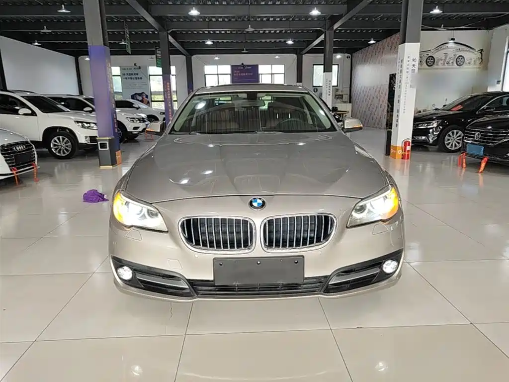 BMW 5 Series 2014 525Li Leading фото 3