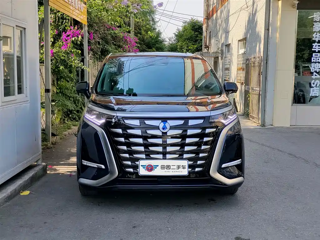 Denza D9 2022 DM-i 970 All-Wheel Drive Honor Edition фото 2