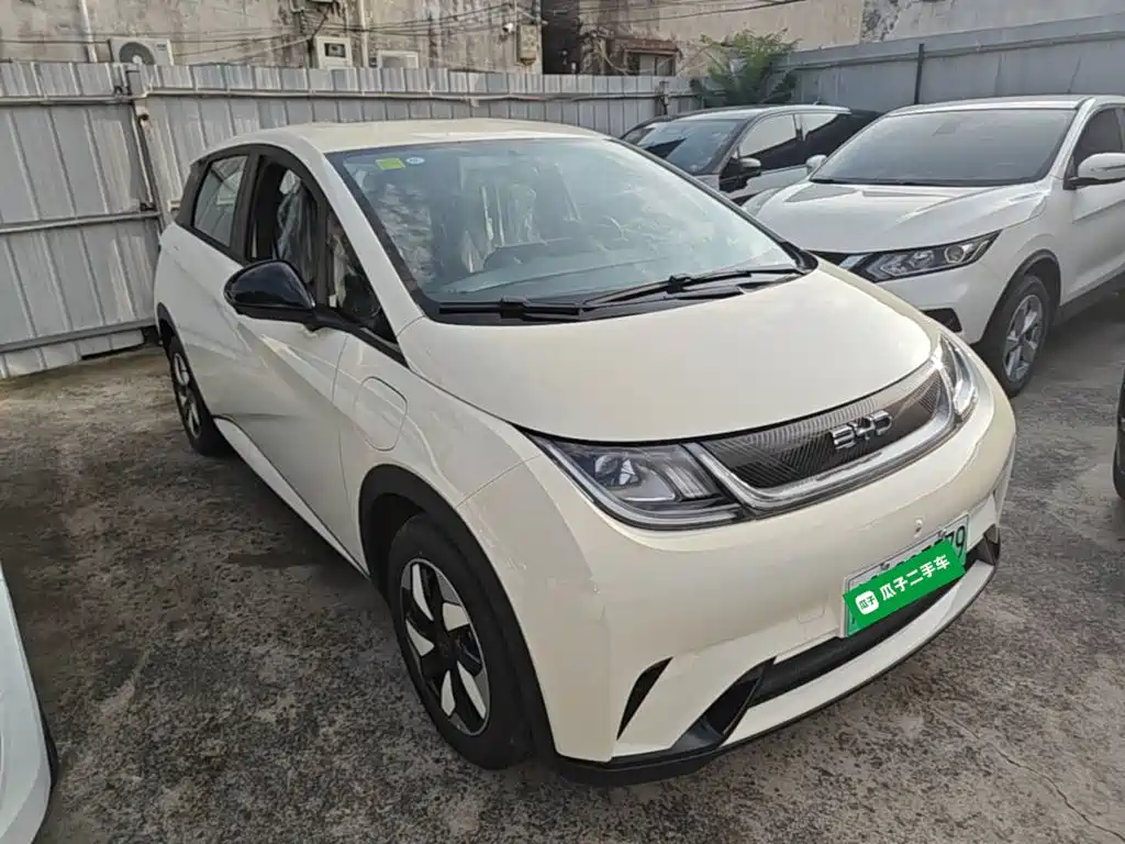 BYD Dolphin 2026 2025 420km Freedom Edition