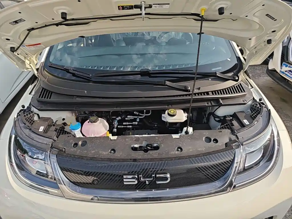 BYD Dolphin 2026 2025 420km Freedom Edition