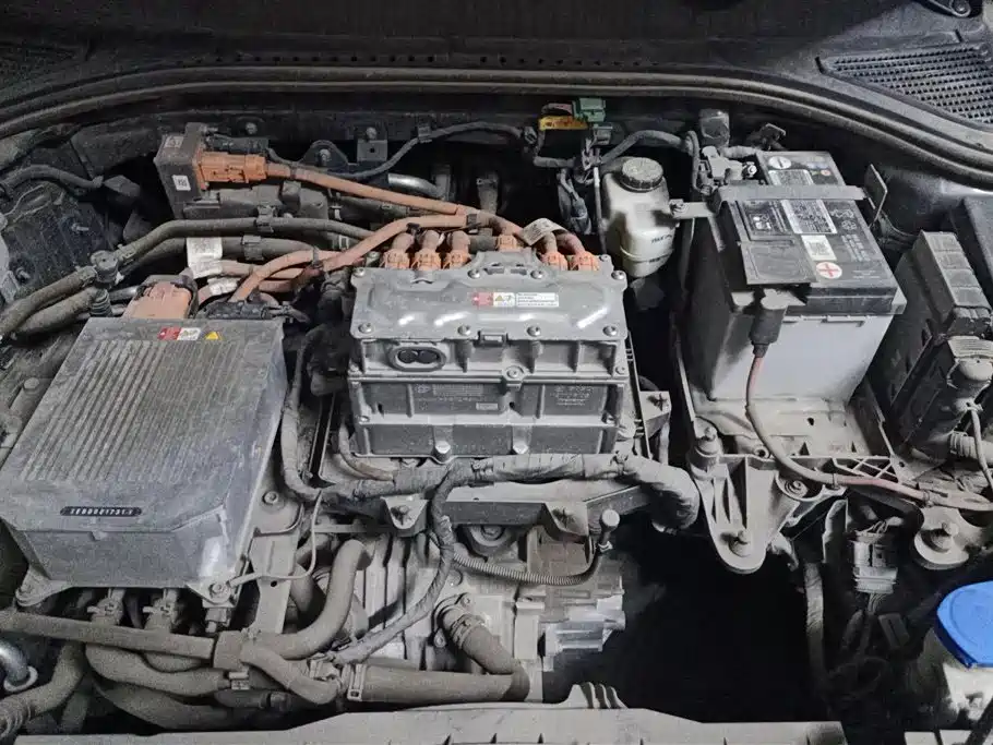 Volkswagen Bora Pure Electric 2020 Shang Pro фото 10