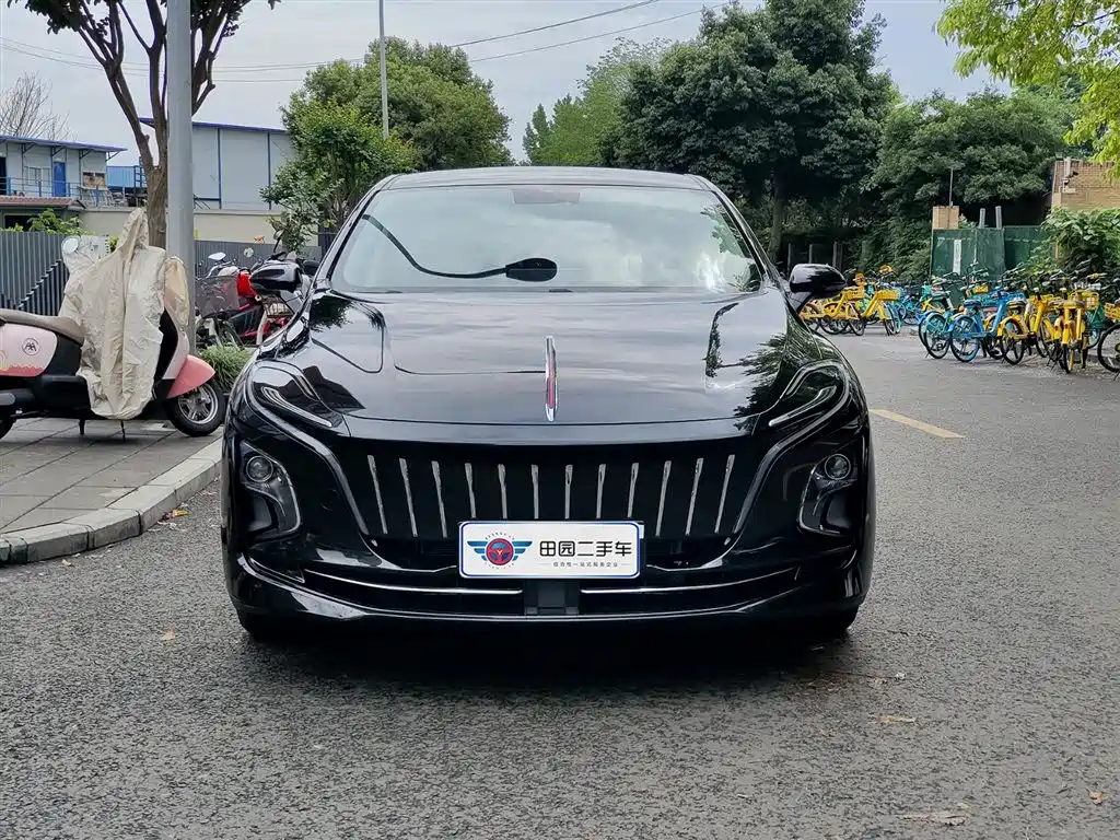 Hongqi E-QM5 2021 Ride-hailing Charging T3 Edition 5-seater фото 2