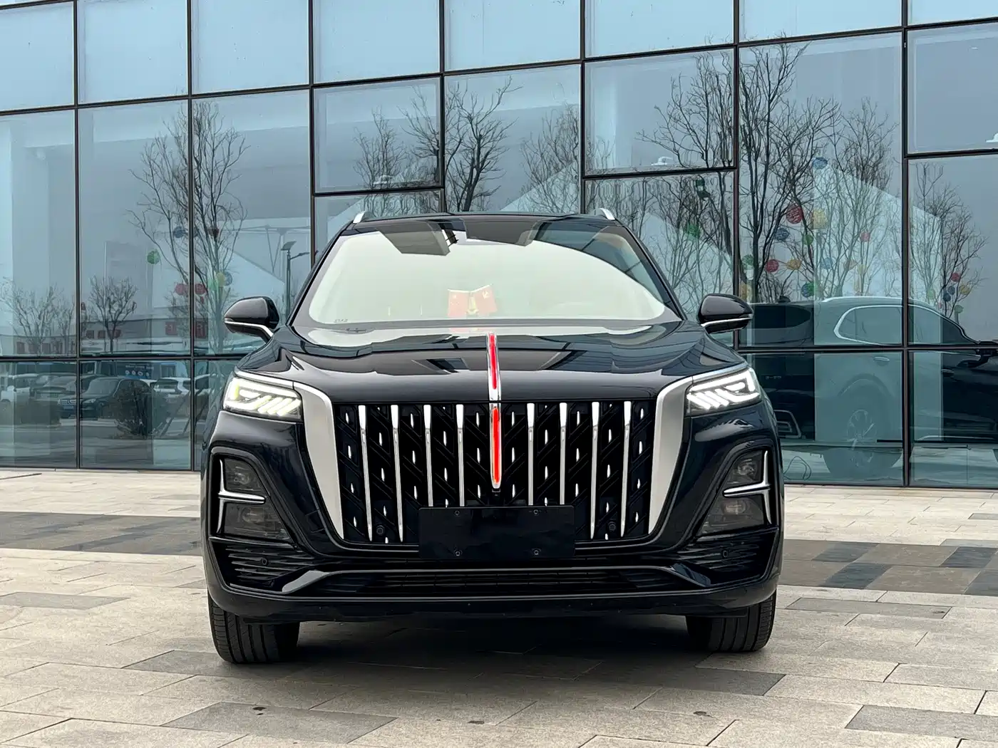 Hongqi HS5 2023 2.0T Flag Enjoy Pro Edition фото 2