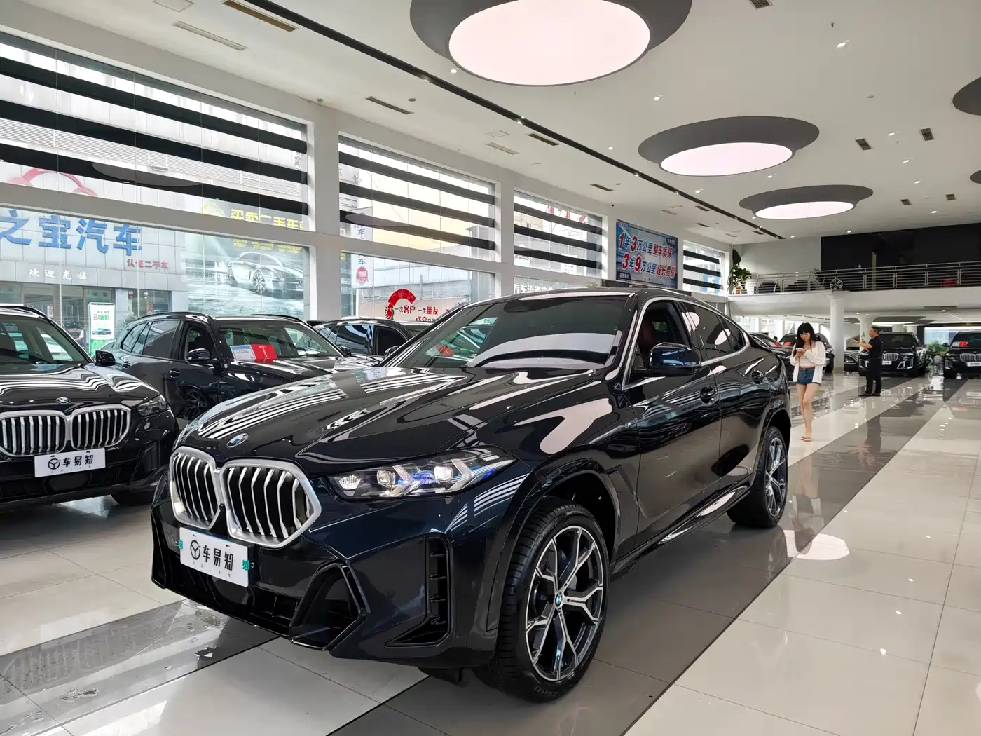 2025 BMW X6