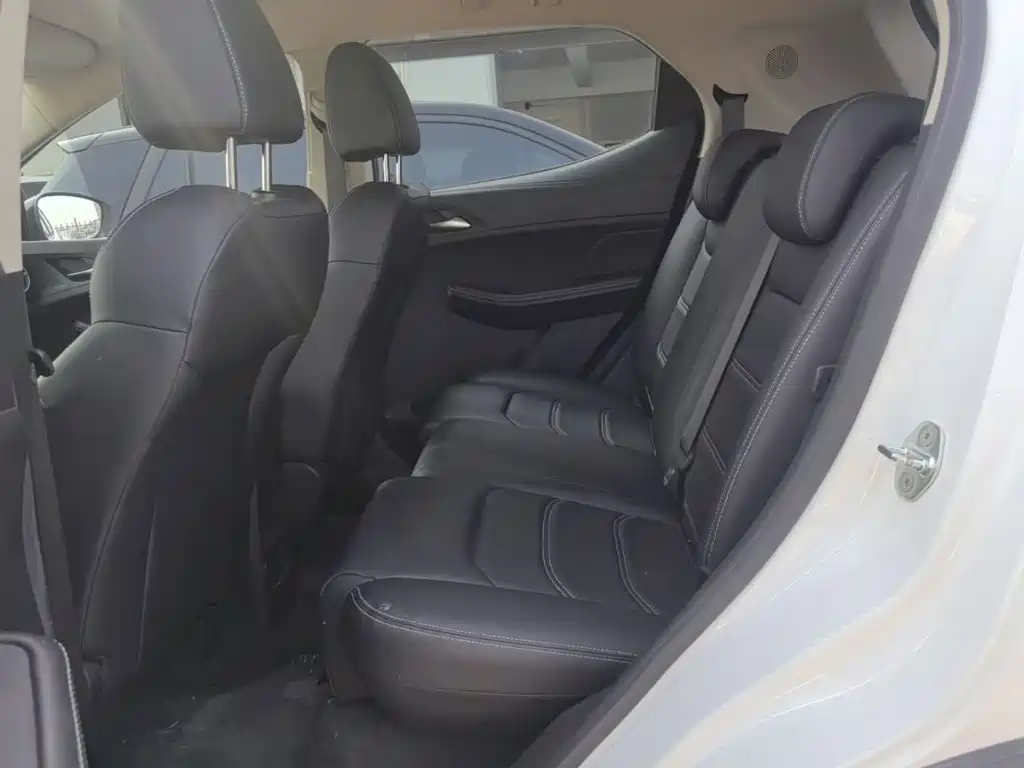 BYD Yuan New Energy 2020 2019 EV535 Smart Connected Trend Leader Type