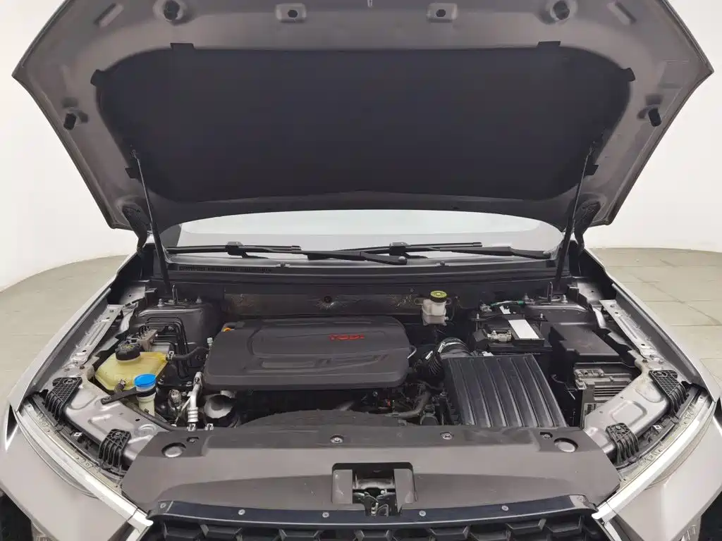 Haima 8S 2020 2019 1.6TGDI Automatic Trend Edition