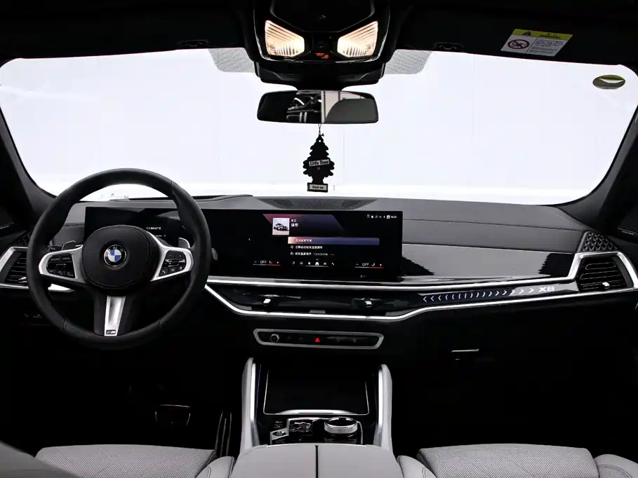 2025 BMW X6
