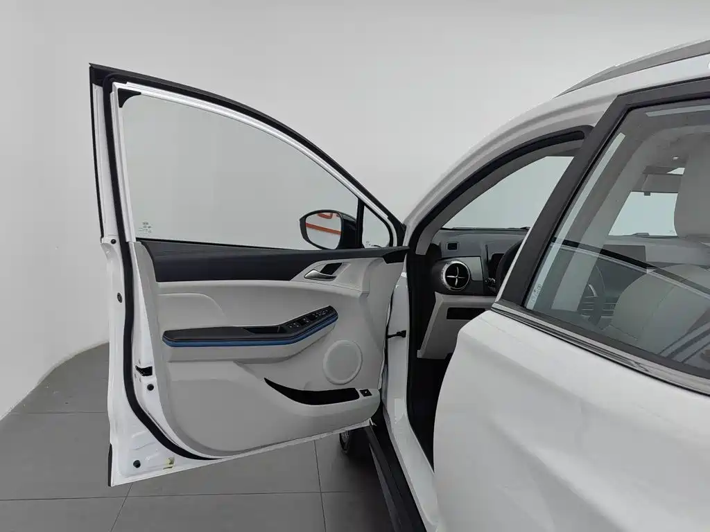 BYD Yuan Pro 2023 2023 401KM Premium