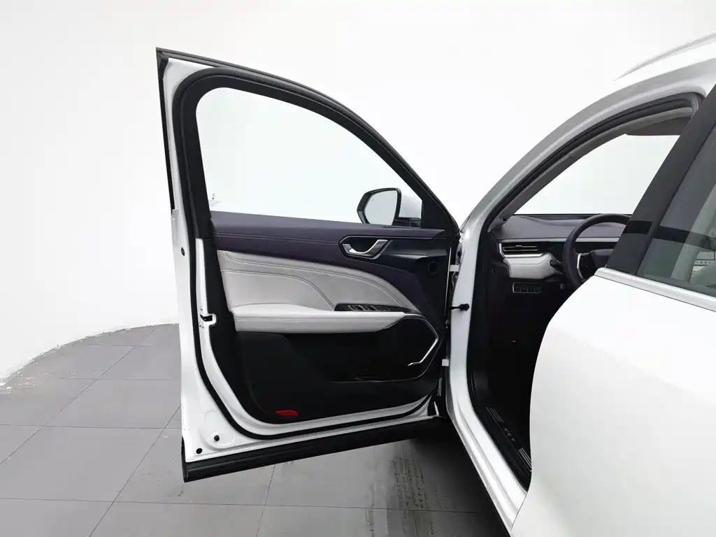 WEY Latte DHT 2022 2022 1.5T DHT Large
