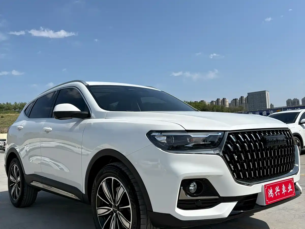 Haval H6 2023 National Trend Edition 1.5T Automatic Champion фото 3