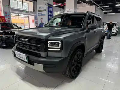 Haval Raptor