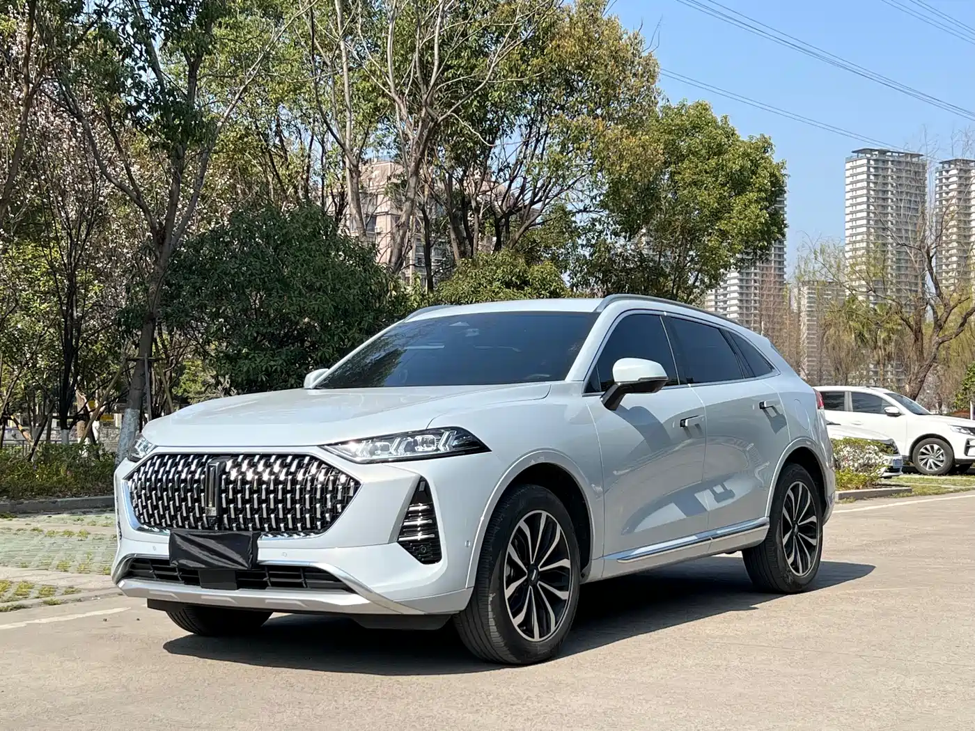 WEI PAI WEI BRAND MOCHA