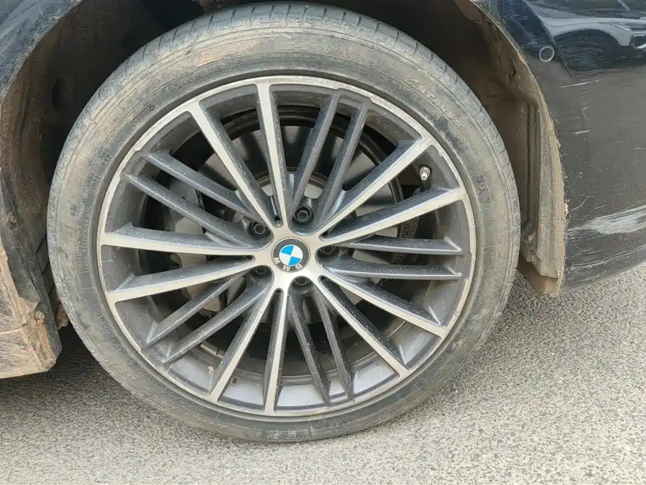 BMW 5 Series 2023 530Li Leading M Sport Package фото 6