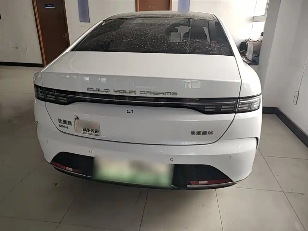 BYD Destroyer 05 2023 Champion Edition DM-i 55KM Luxury фото 6