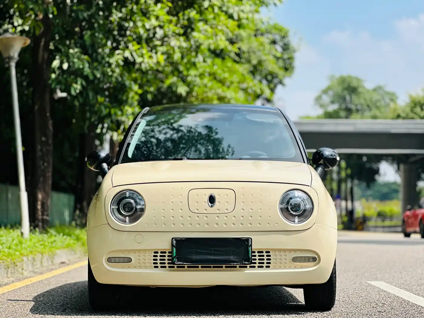 Ora Black Cat 2019 2019 351km Goddess Edition
