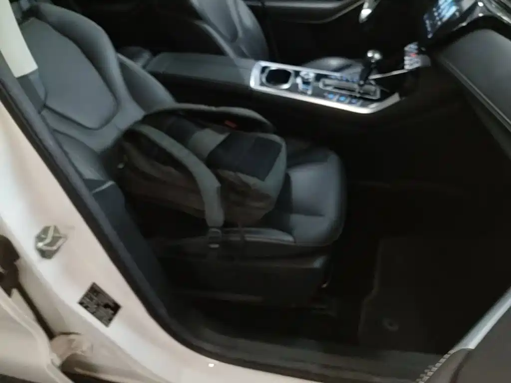 Ford Territory 2019 2019 EcoBoost 145 CVT Premium Leader PLUS (China V)