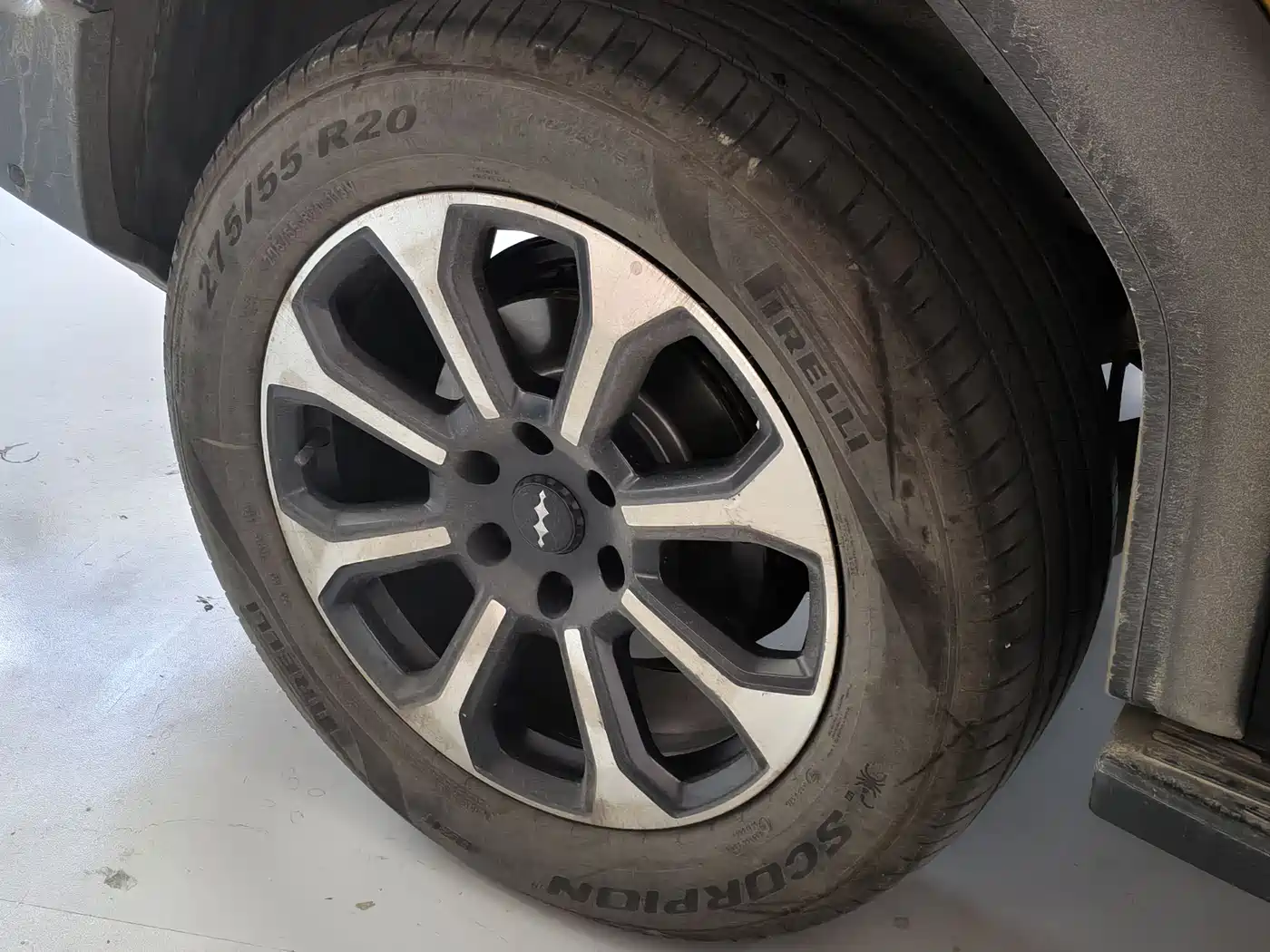 FANG CHENG BAO LEOPARD 5