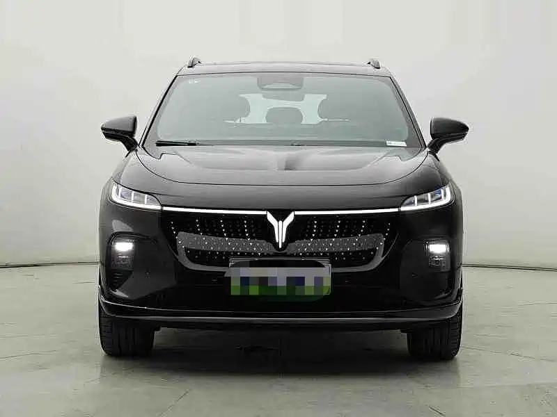 Voyah Courage 2025 2024 4WD Global Edition