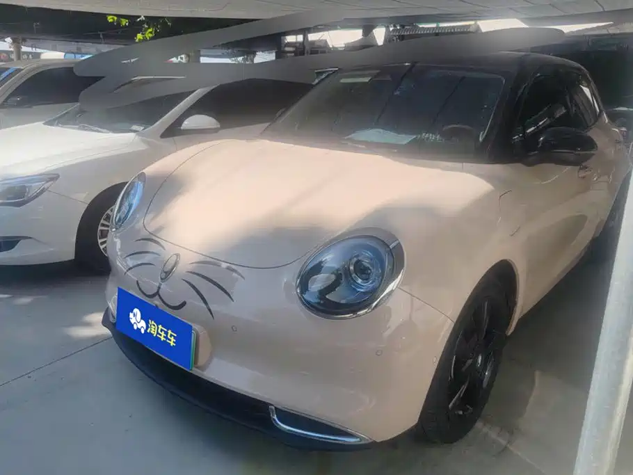 Ora Good Cat 2024 2024 401km Honor 135kW