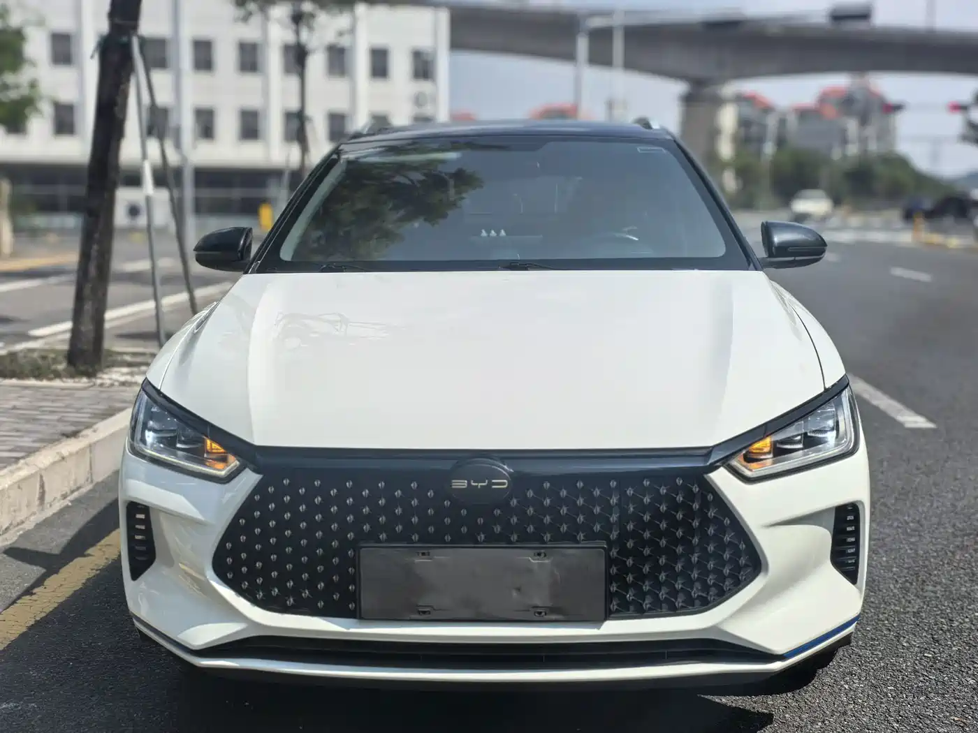 BYD e2 2021 2021 Luxury Edition