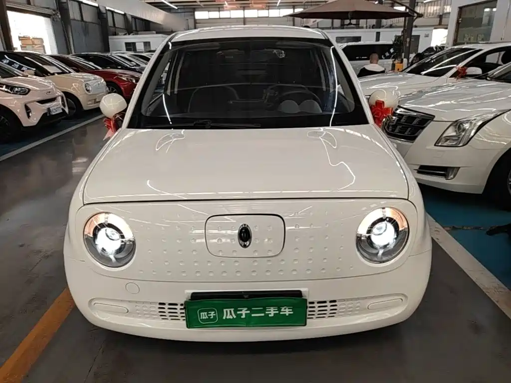 Ora Black Cat 2020 2019 301km Standard