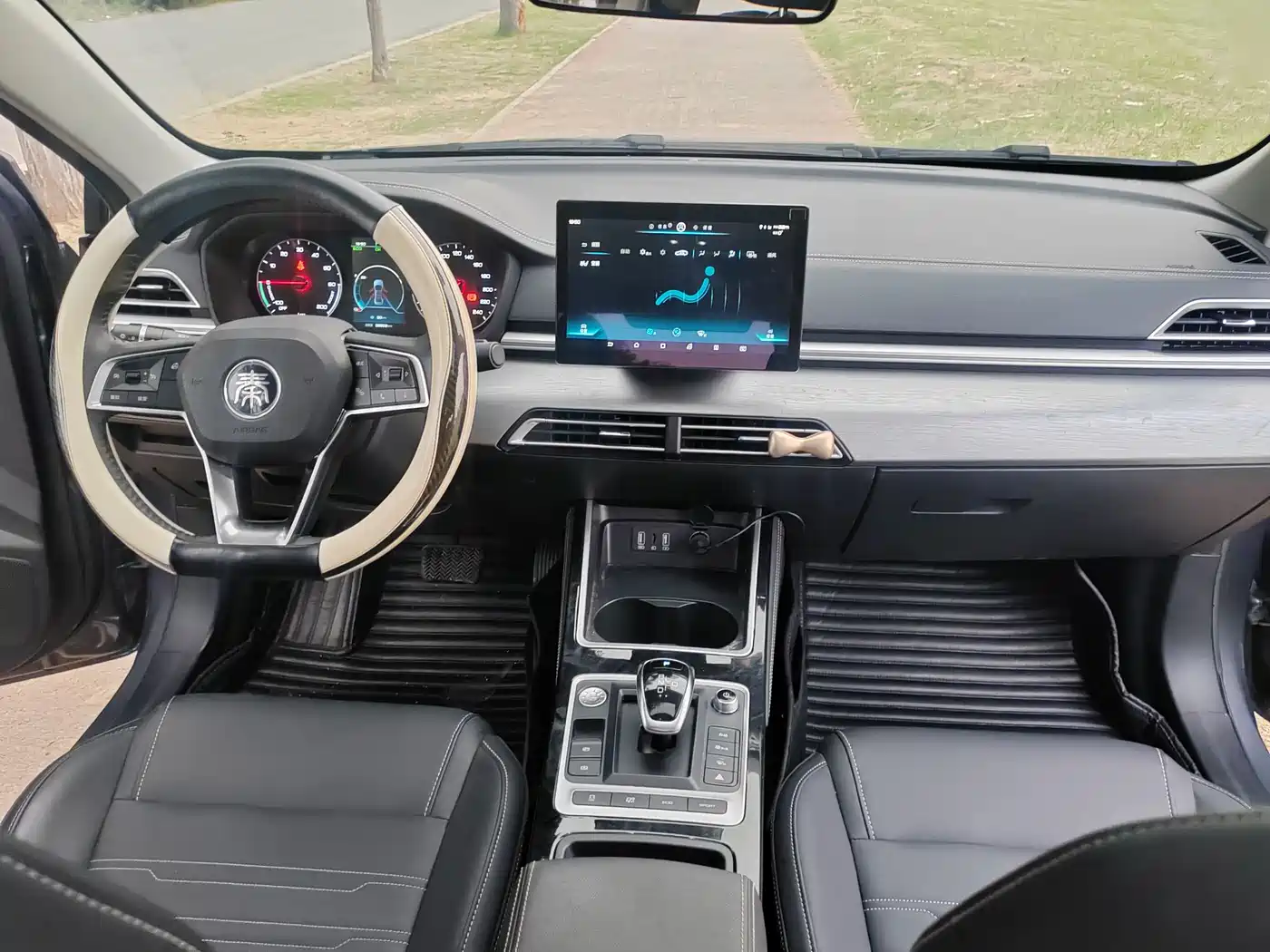 BYD Qin New Energy 2019 Long Range Edition Premium фото 21