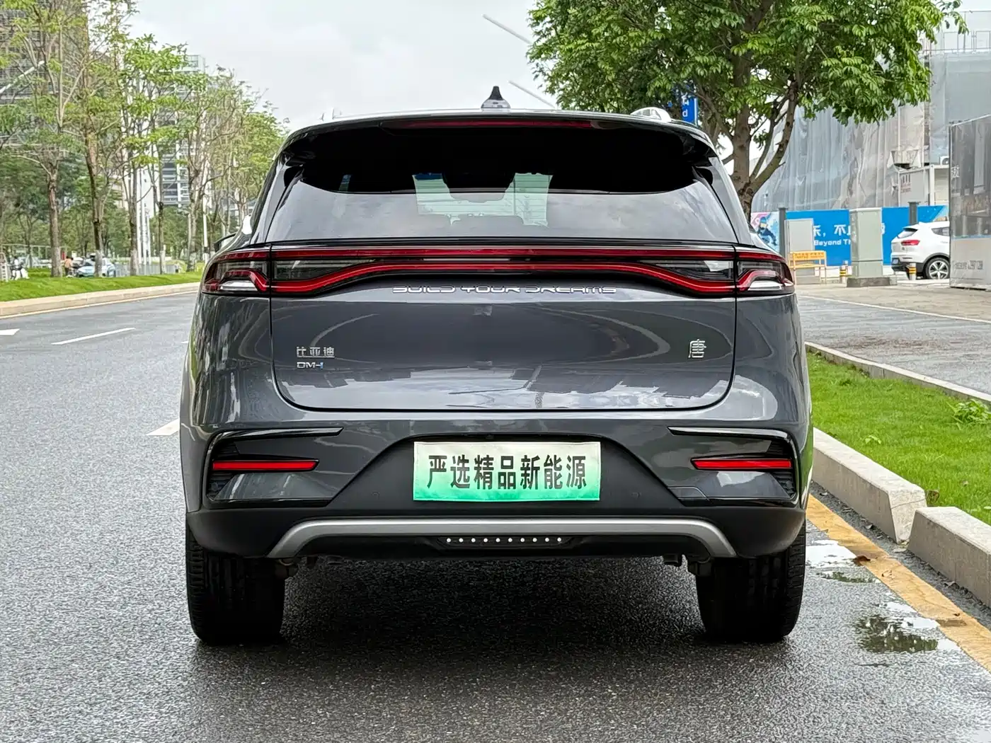 BYD Tang New Energy 2023 Model DM-i Champion Edition 112KM Premium фото 26