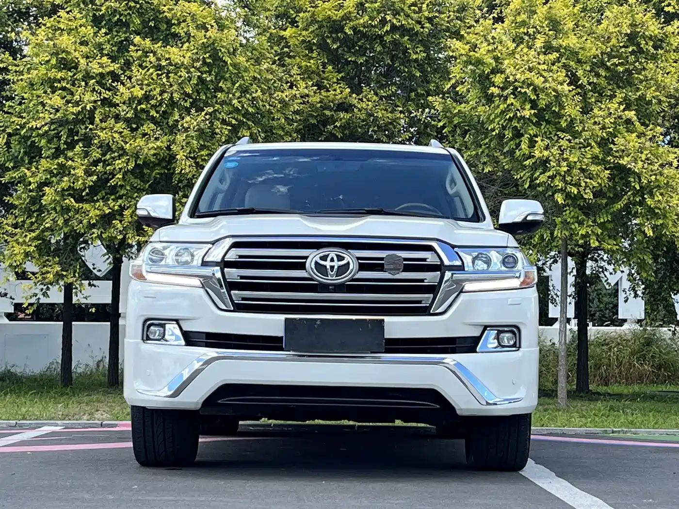 Toyota Land Cruiser (Import) 2018