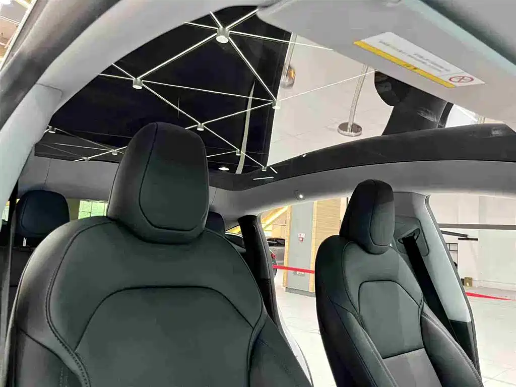 Tesla Model Y 2025 Long Range All-Wheel Drive фото 15