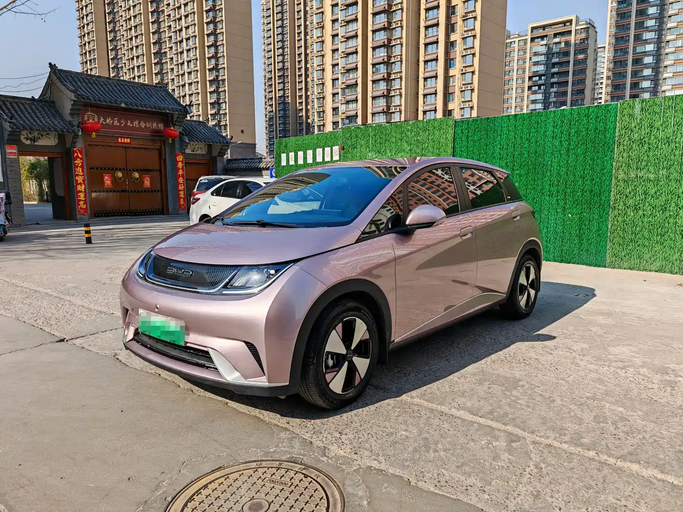 BYD Dolphin 2023 420km Freedom Edition
