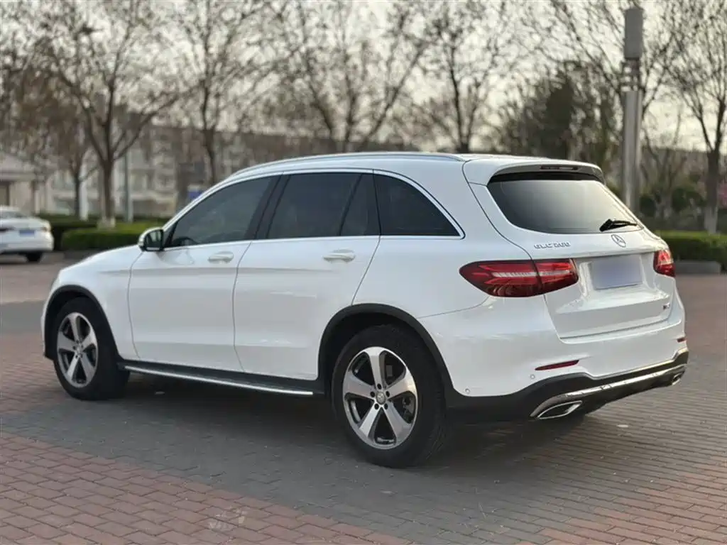 Mercedes-Benz GLC 2017 GLC 260 4MATIC Luxury фото 13