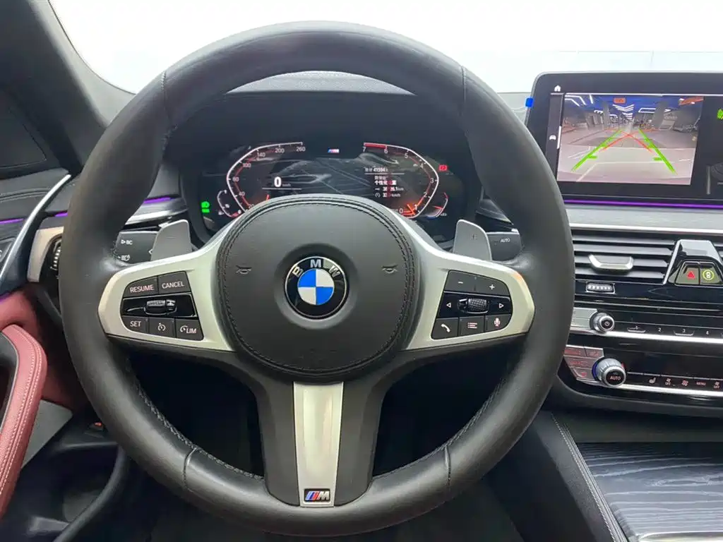 BMW 5 Series 2021 530Li Leading M Sport Package фото 14