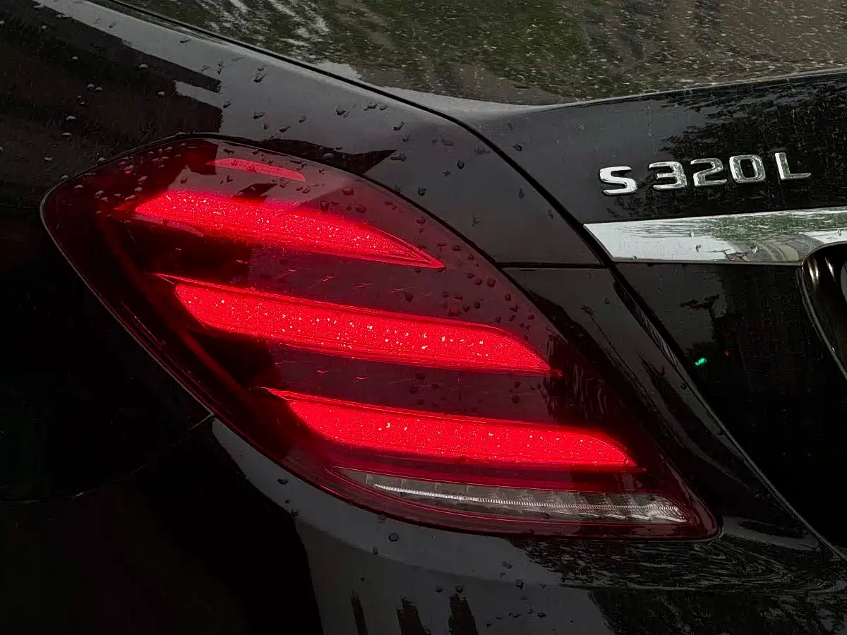Mercedes-Benz S-Class 2019 S 320 L фото 10