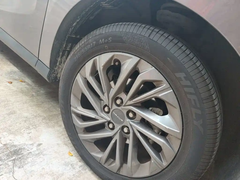Фото 24 - Maxus Maxus G50