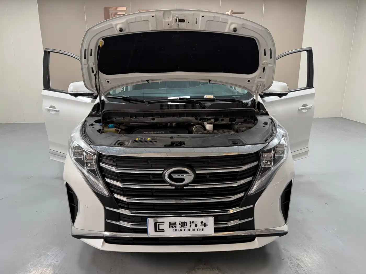 GAC Trumpchi Trumpchi M8 2023 Leading Series 390T Ultimate Edition фото 15