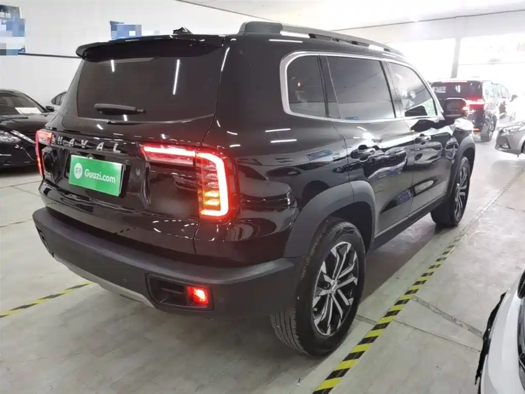 Haval Big Dog 2022 1.5T DCT FWD Border Collie Edition фото 7