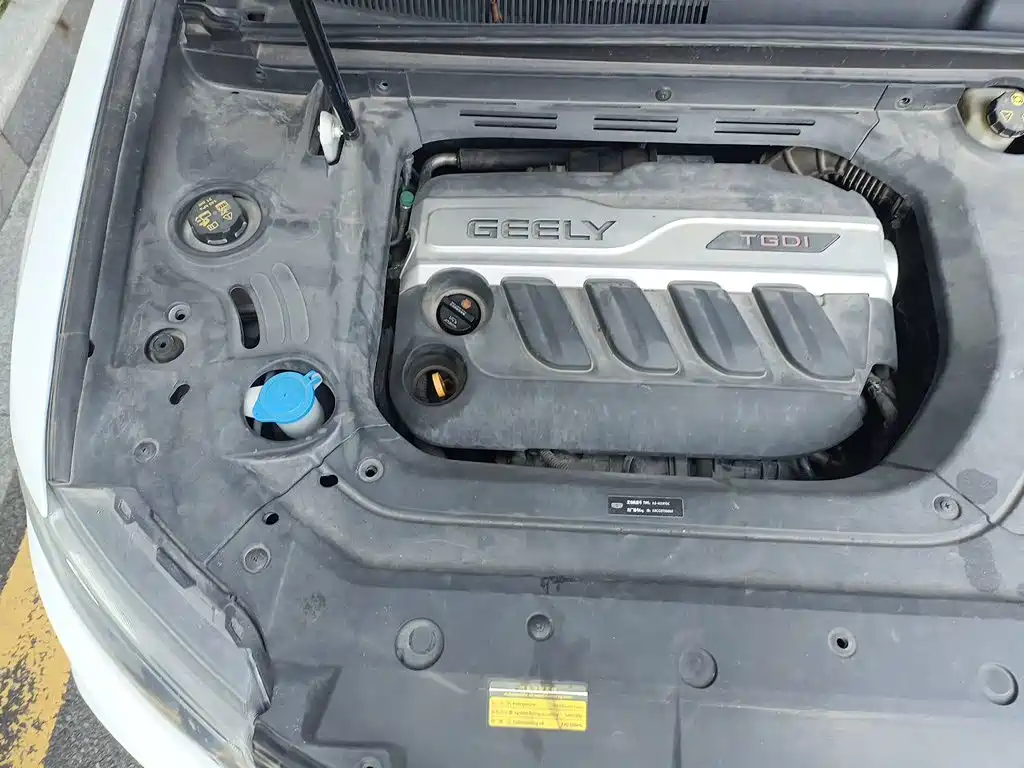 Photo 20 - Geely Atlas