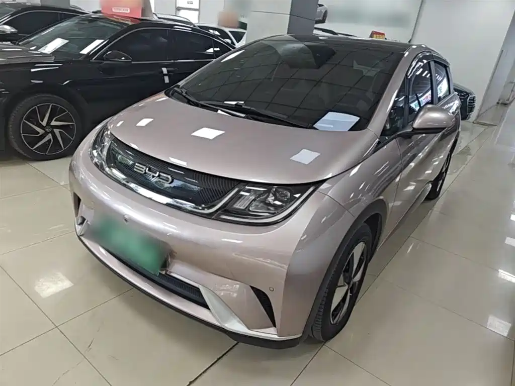 BYD Dolphin 2023 420km Fashion Edition фото 2