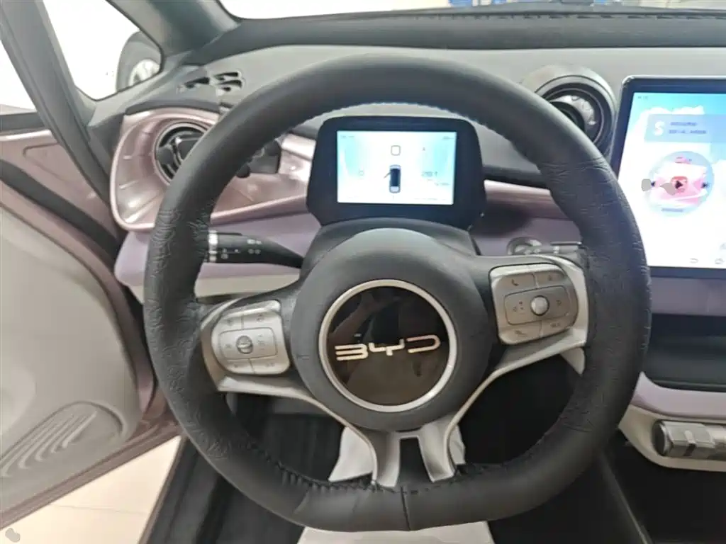 BYD Dolphin 2023 420km Fashion Edition фото 11