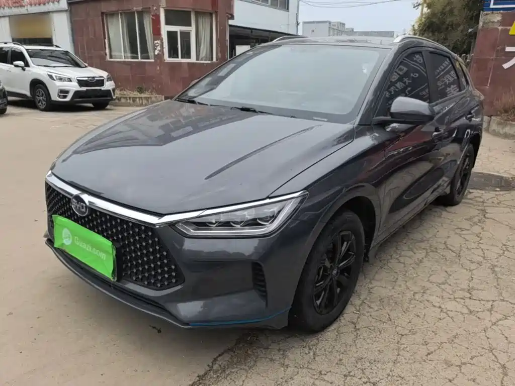 BYD e2 2021 2021 Luxury Edition