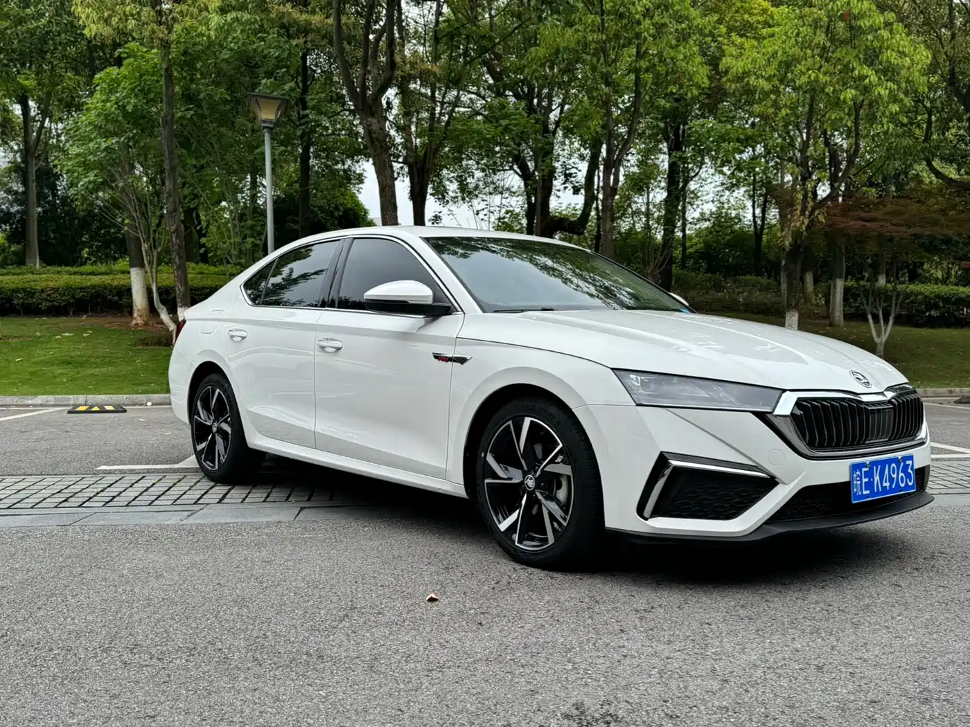 Škoda Octavia 2021 PRO TSI280 DSG Premium Edition фото 3