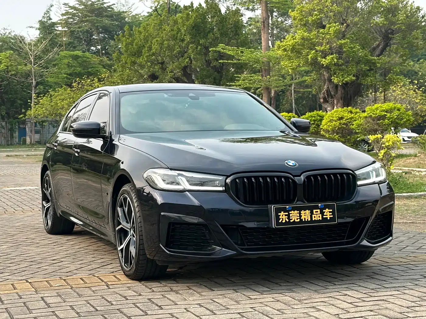 BMW 5 Series 2021 530Li Leading M Sport Package
