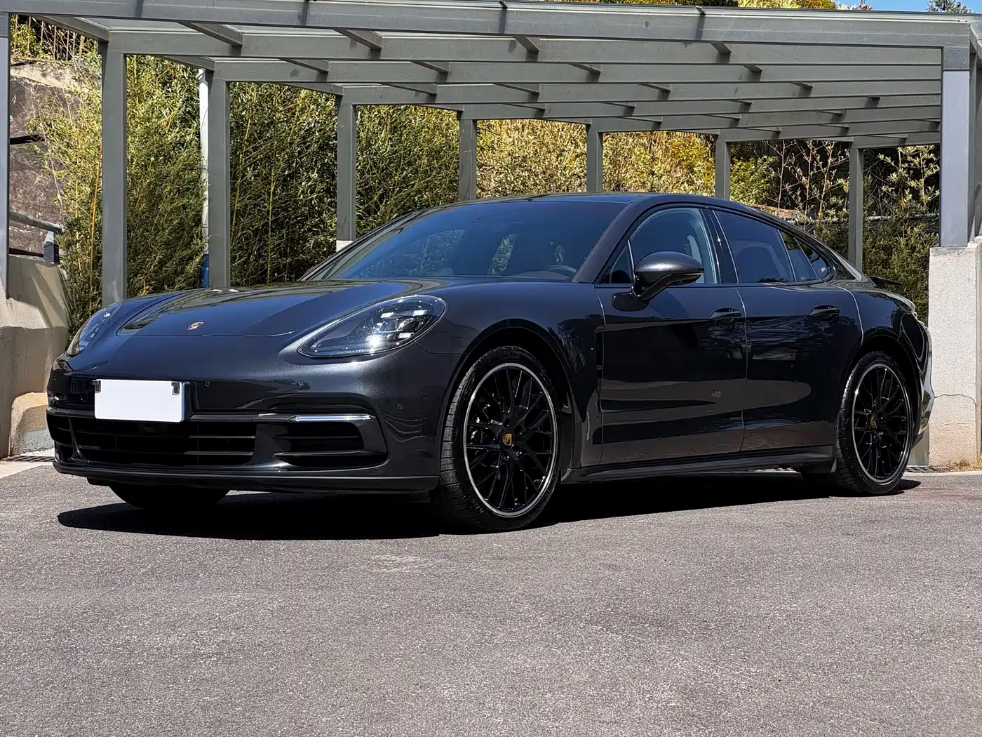 Porsche Panamera 2017 Panamera 3.0T фото 6