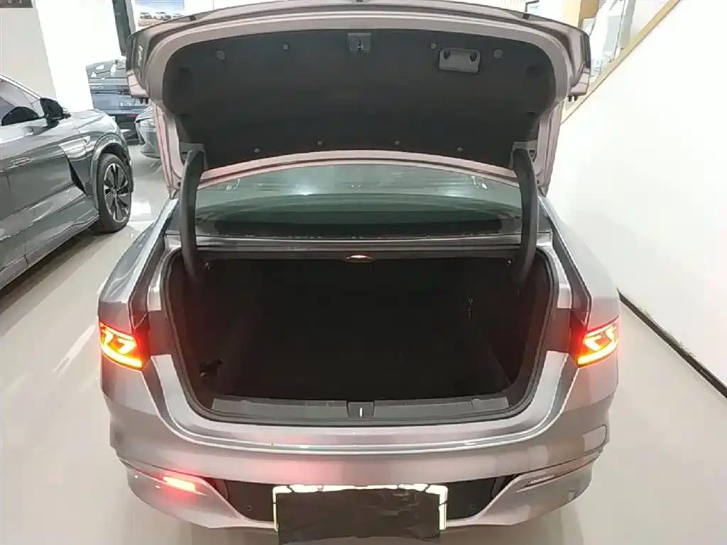 BYD Qin PLUS 2023 Champion Edition DM-i 120KM Excellence фото 19