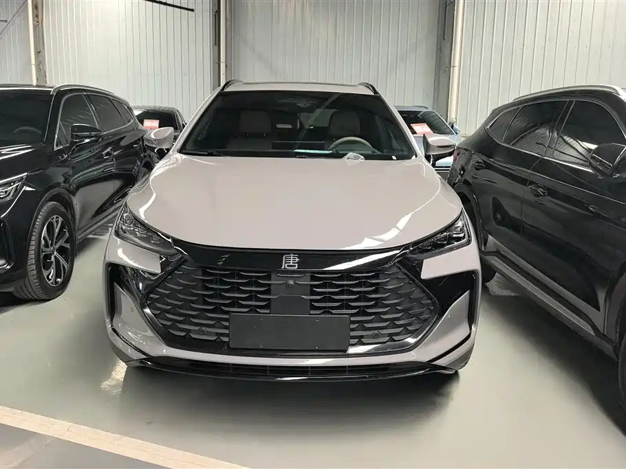 BYD Tang New Energy 2025 DM-i 115KM Flagship фото 2